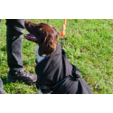 Couverture pour chien EQUITHÈME - Softshell
