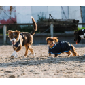 Couverture pour chien Riding World - Eco 600D