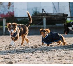 Manta para perros Riding World - Eco 600D