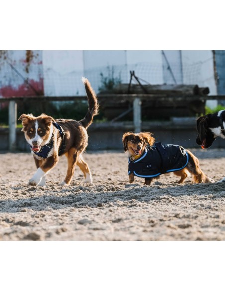 Hundedecke Riding World - Eco 600D