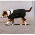 Couverture pour chien Equithème Je t'aime