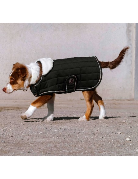 Couverture pour chien Equithème Je t'aime