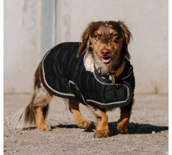 Couverture pour chien Equithème Je t'aime