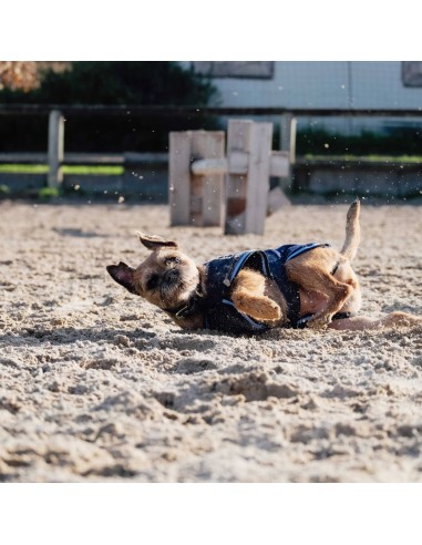 Chemise polaire pour chien Riding World