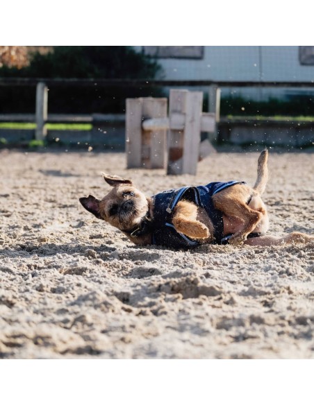Chemise polaire pour chien Riding World