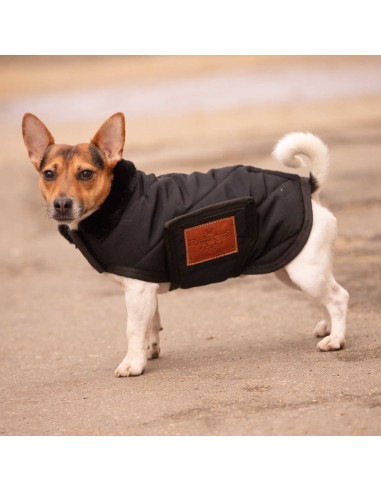 Hundedecke Diagonal - Paddock