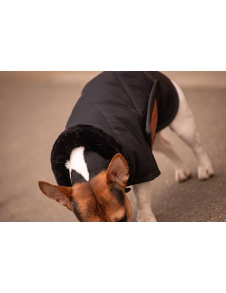 Manta diagonal para perros - Paddock