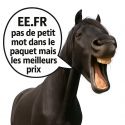 Etriers aluminium profil 5 étoiles DMH Equitation Bleu