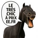 Bandages de repos en laine Francis HV Polo