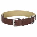 Collier chien cuir luxe HV-Polo