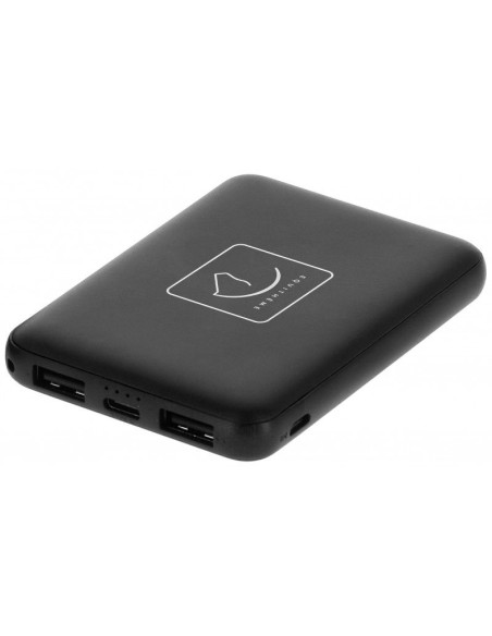 Batterie pour gilet chauffant ou chauffe dos - EQUITHÈME