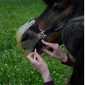 Aliment complémentaire soutien métabolique Cura Naturale