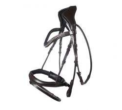 Trense -Arezzo- Lauria Garrelli