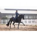 Ceinture en cuir -Arezzo- Lauria Garrelli