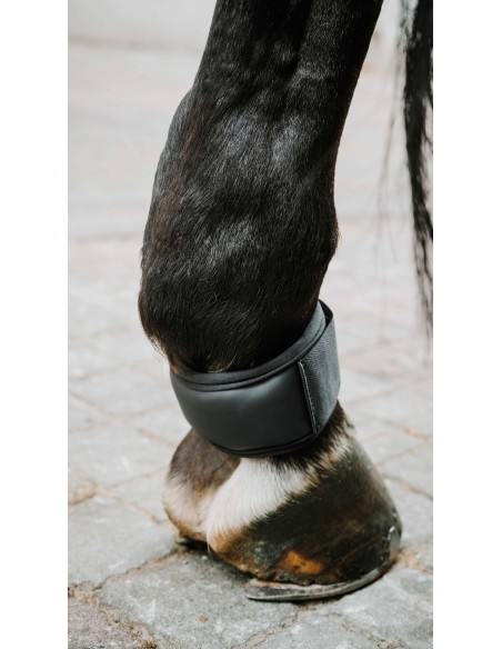 Protector de cuartilla NORTON - XTR Gel