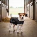 Manteau Jack Russell IRHFlower Power Imperail-Riding