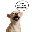 Jack Russell IRHFlower Power Imperail-Riding Mantel