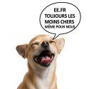 Manteau chihuahua IRHFlower Power Imperail-Riding