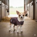 Manteau chihuahua IRHFlower Power Imperail-Riding