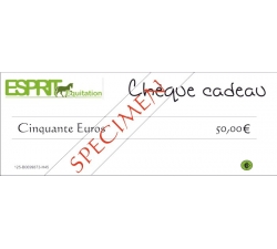 cheque-cadeau-d-une-valeur-de-100-euros