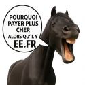 Étrille métallique avec strass HKM