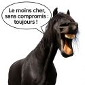 Etriers ergonomiques en aluminium DMH Equitation