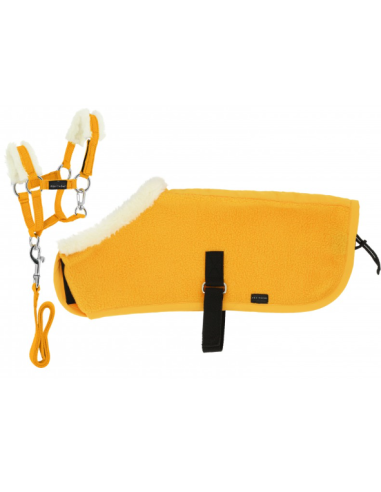 Set Mini Halfter+Decke PONY ACADEMY