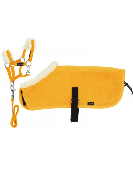 Mini conjunto cabestro+manta PONY ACADEMY