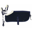 Set Mini licol+couverture PONY ACADEMY