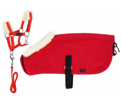 Set Mini licol+couverture PONY ACADEMY