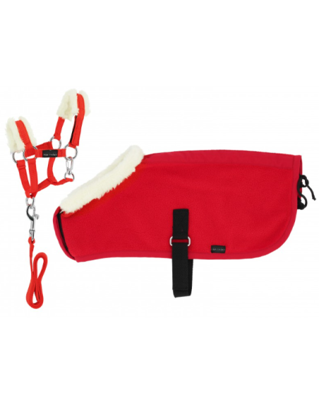 Set Mini Halfter+Decke PONY ACADEMY