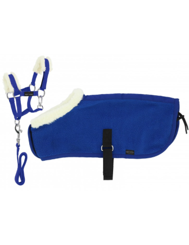 Set Mini licol+couverture PONY ACADEMY
