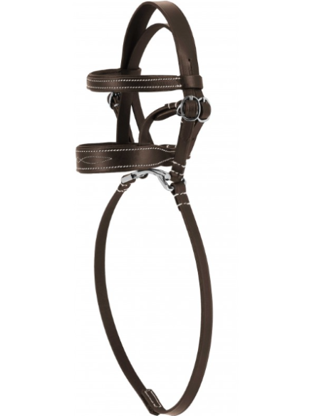 Brida mini PONY ACADEMY