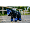 Mini-bridon PONY ACADEMY