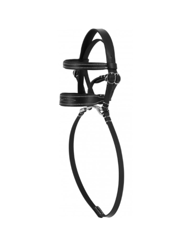 Brida mini PONY ACADEMY