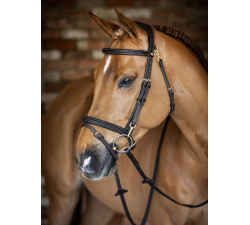 Arbeitszaumzeug LeMieux