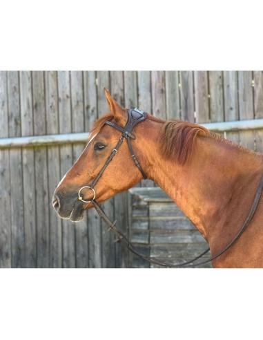 Trense Essentiel mit Brücke TdeT