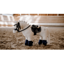 Mini-poney Filou - PONY ACADEMY