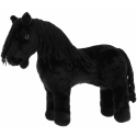 Mini-Pony Eclair - PONY ACADEMY