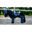 Mini-Pony Eclair - PONY ACADEMY
