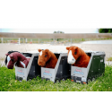 Mini-Pony Jumpy - PONY ACADEMY