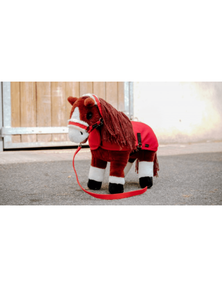 Mini-poney Jumpy - PONY ACADEMY