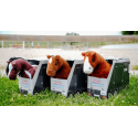 Mini-Pony Poly - PONY ACADEMY