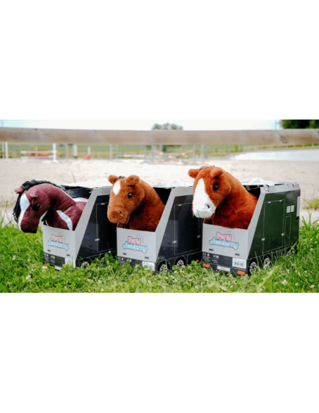 Mini-Pony Poly - PONY ACADEMY