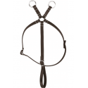 Mini-martingale PONY ACADEMY