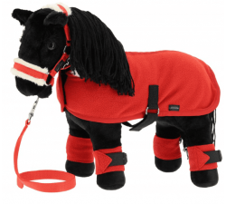 Mini-Verbände PONY ACADEMY