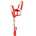 Mini-licol+extensión PONY ACADEMY