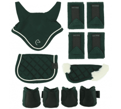 Juego de miniaccesorios PONY ACADEMY