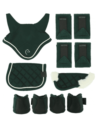 Juego de miniaccesorios PONY ACADEMY