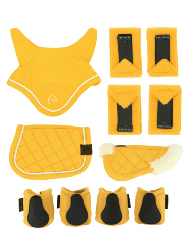 Set Mini accessoires PONY ACADEMY